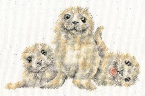 (image for) Seal Of Approval